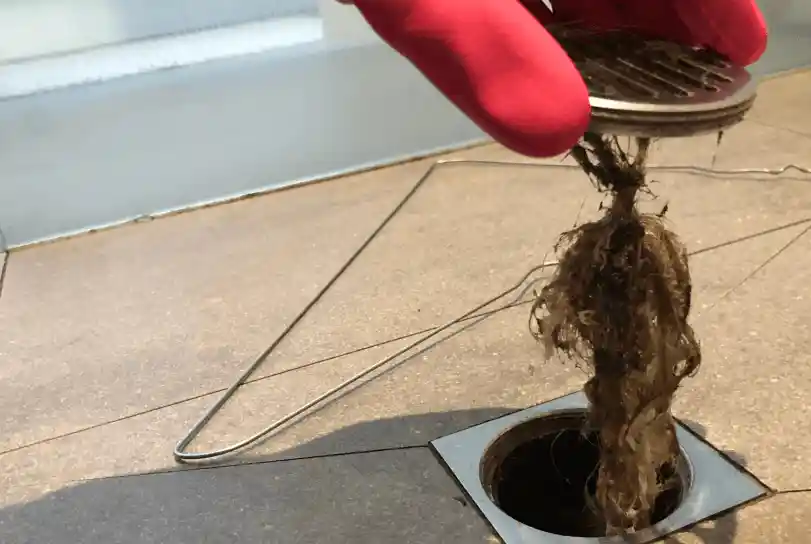 hair one of the common cause of blocked drains